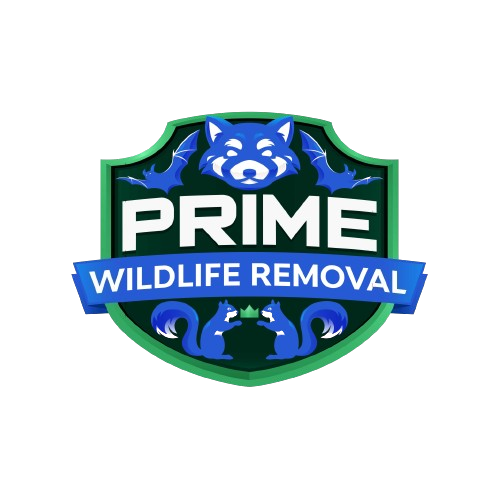 Texas Wildlife Removal
